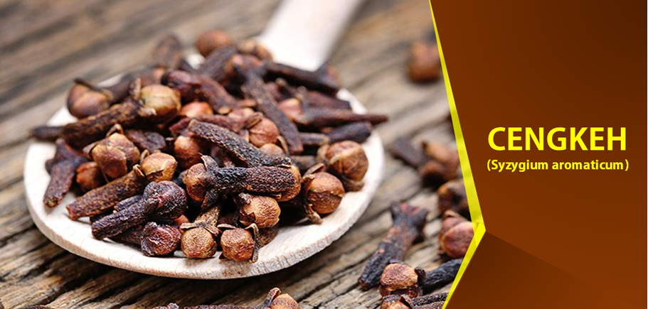 Khasiat Cengkeh Memelihara Stamina Pria